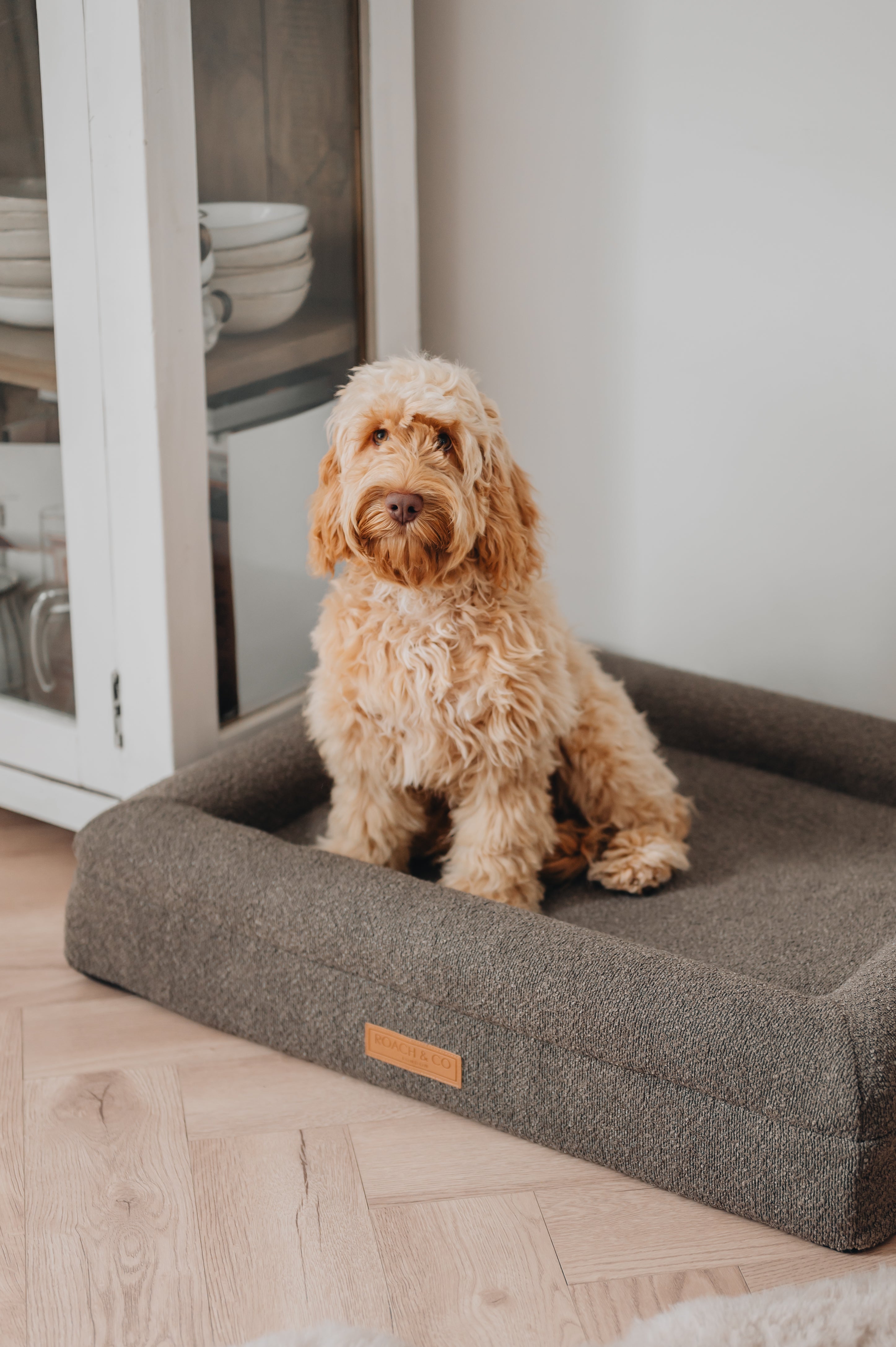 Luxury Orthopaedic Taupe Brown Bouclé Dog Bed