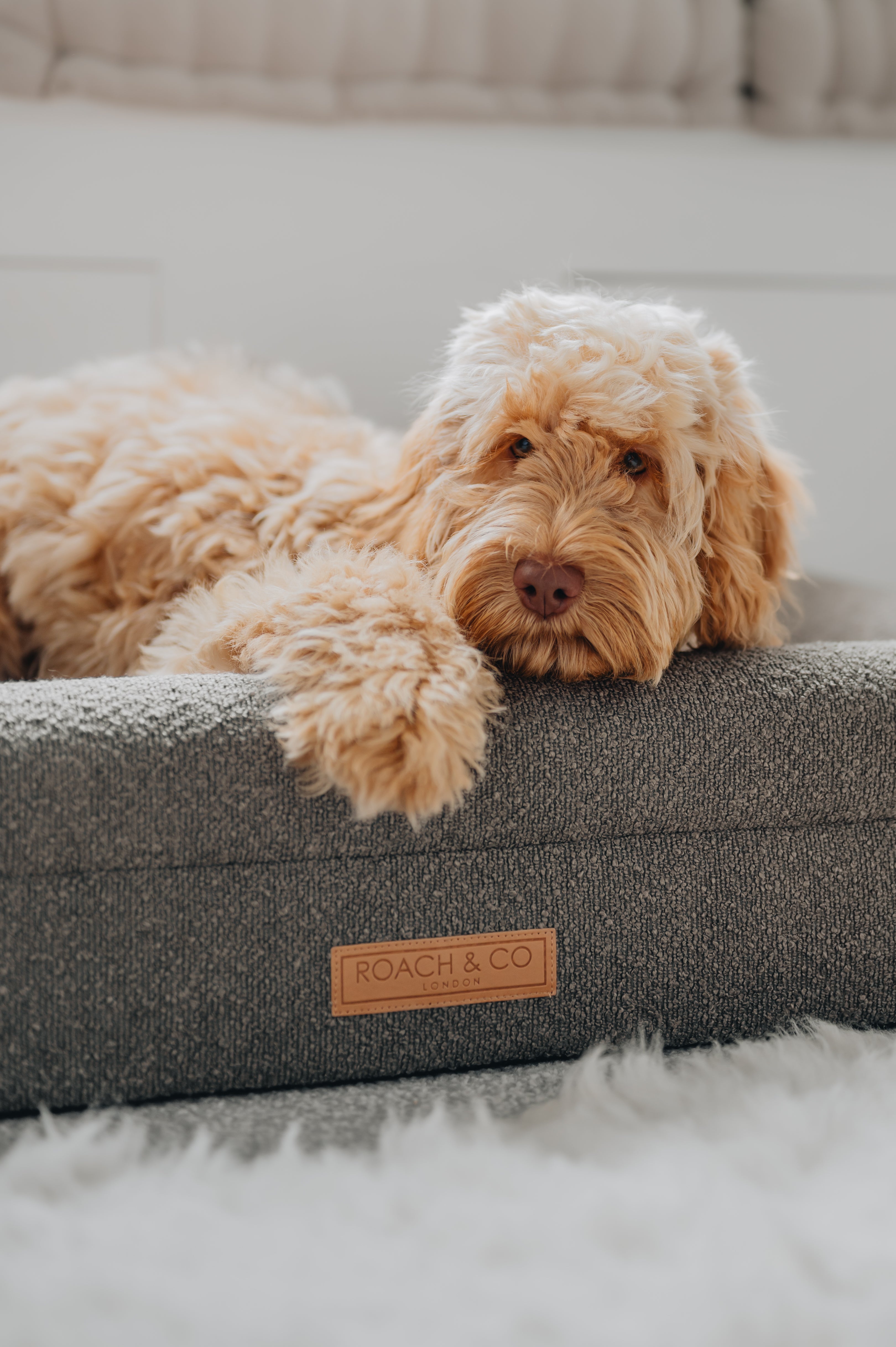 Luxury Orthopaedic Taupe Brown Bouclé Dog Bed