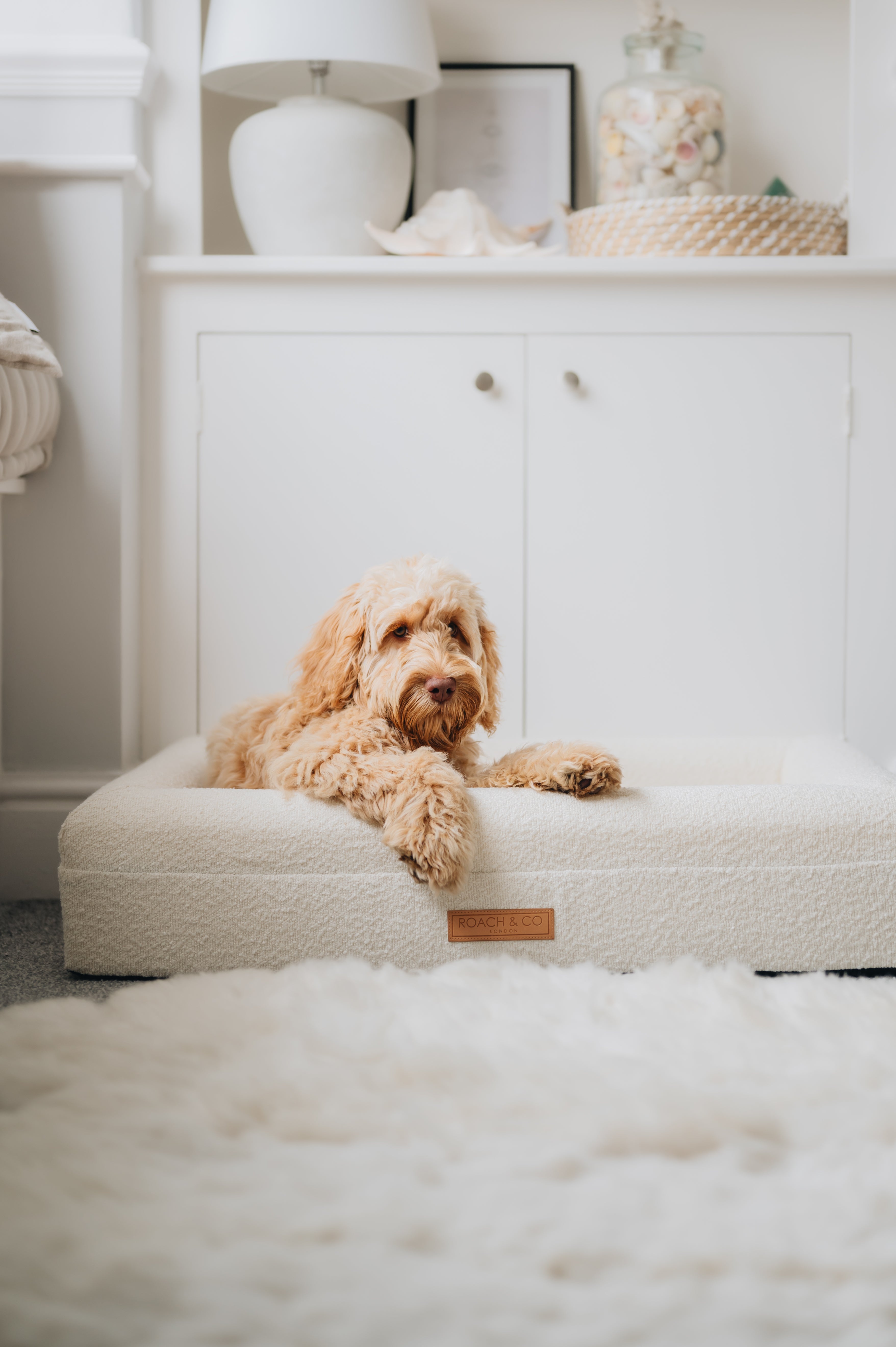 Luxury Orthopaedic Cream Bouclé Dog Bed