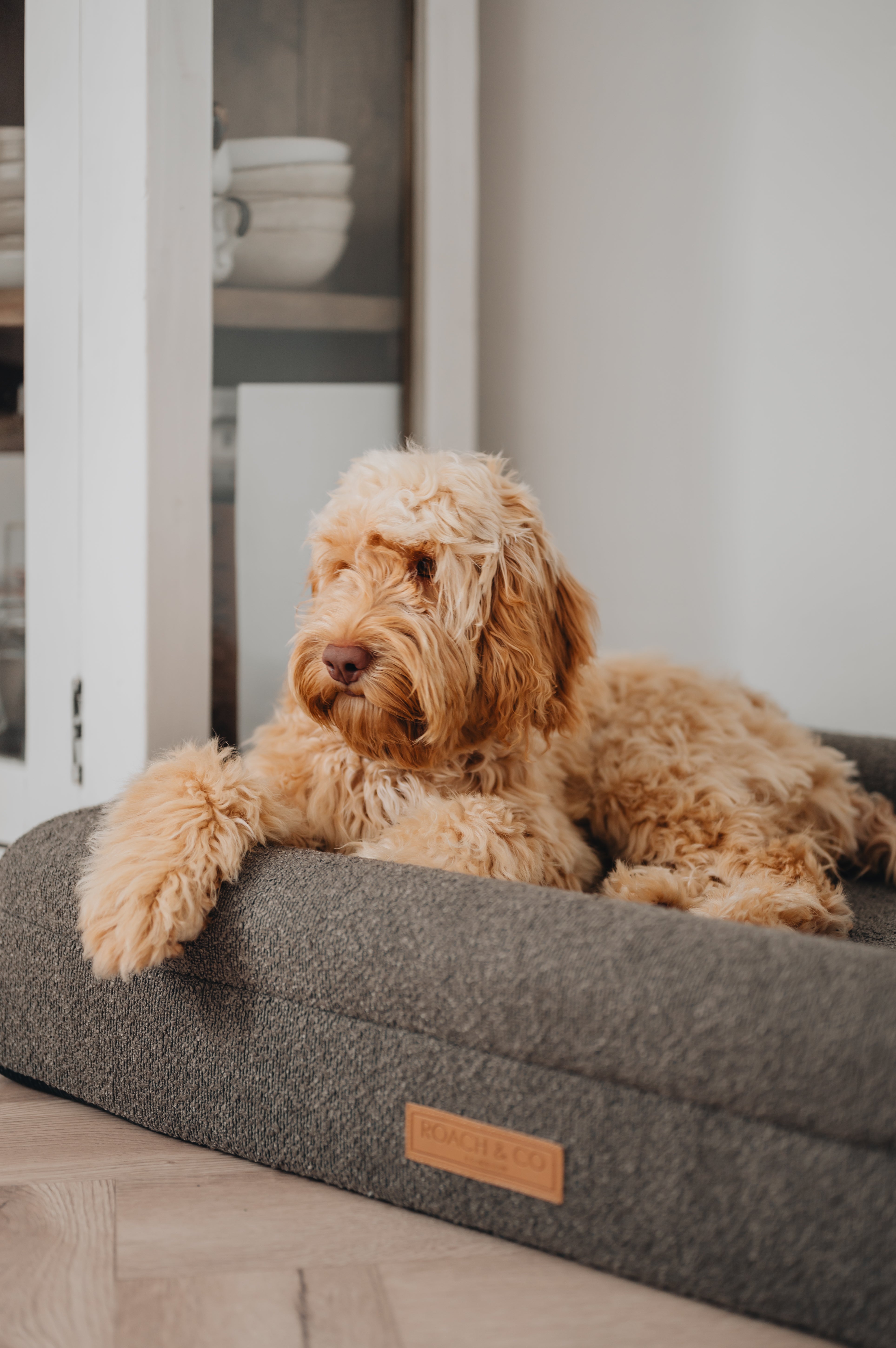 Luxury Orthopaedic Taupe Brown Bouclé Dog Bed