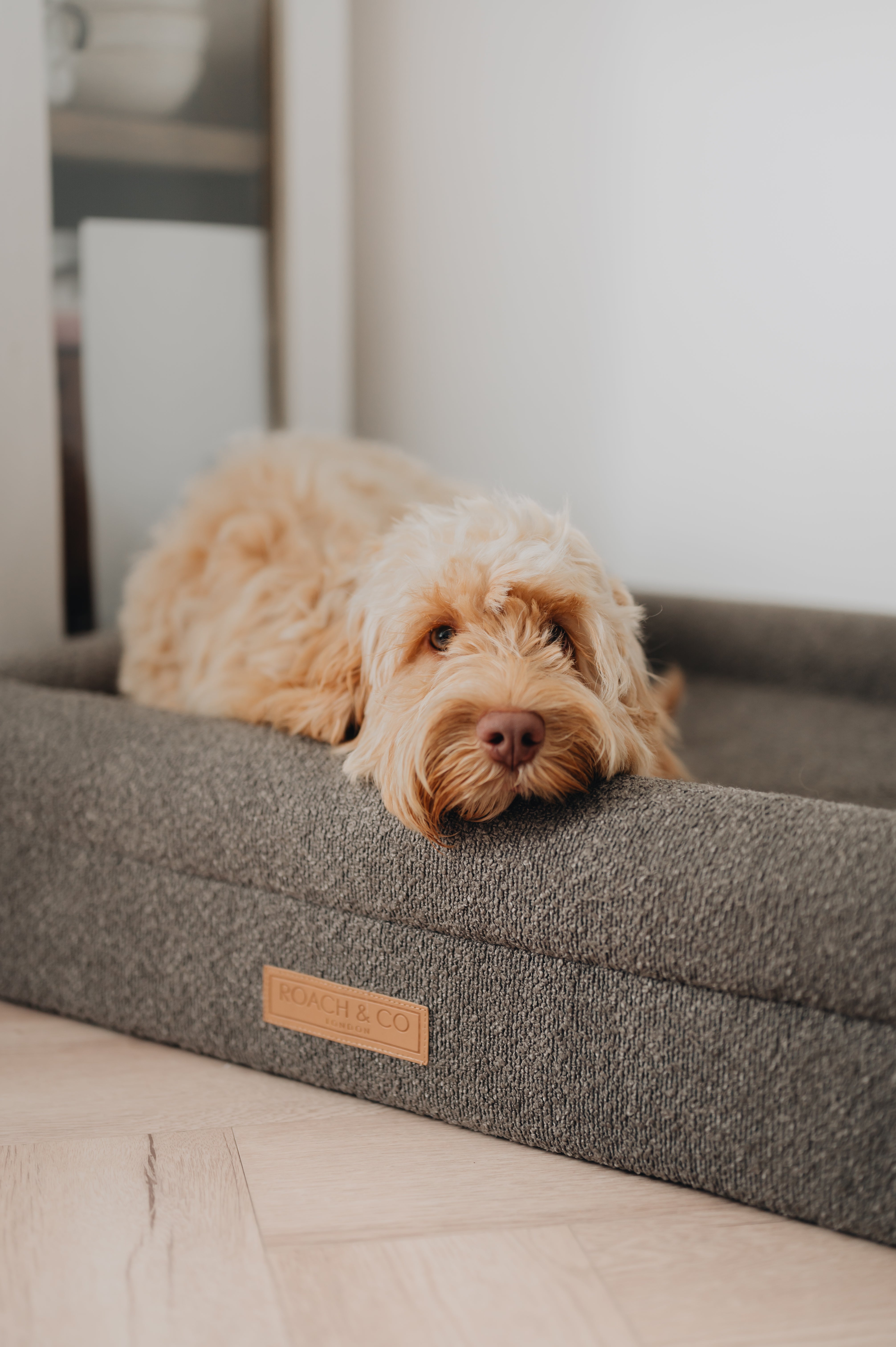 Luxury Orthopaedic Taupe Brown Bouclé Dog Bed