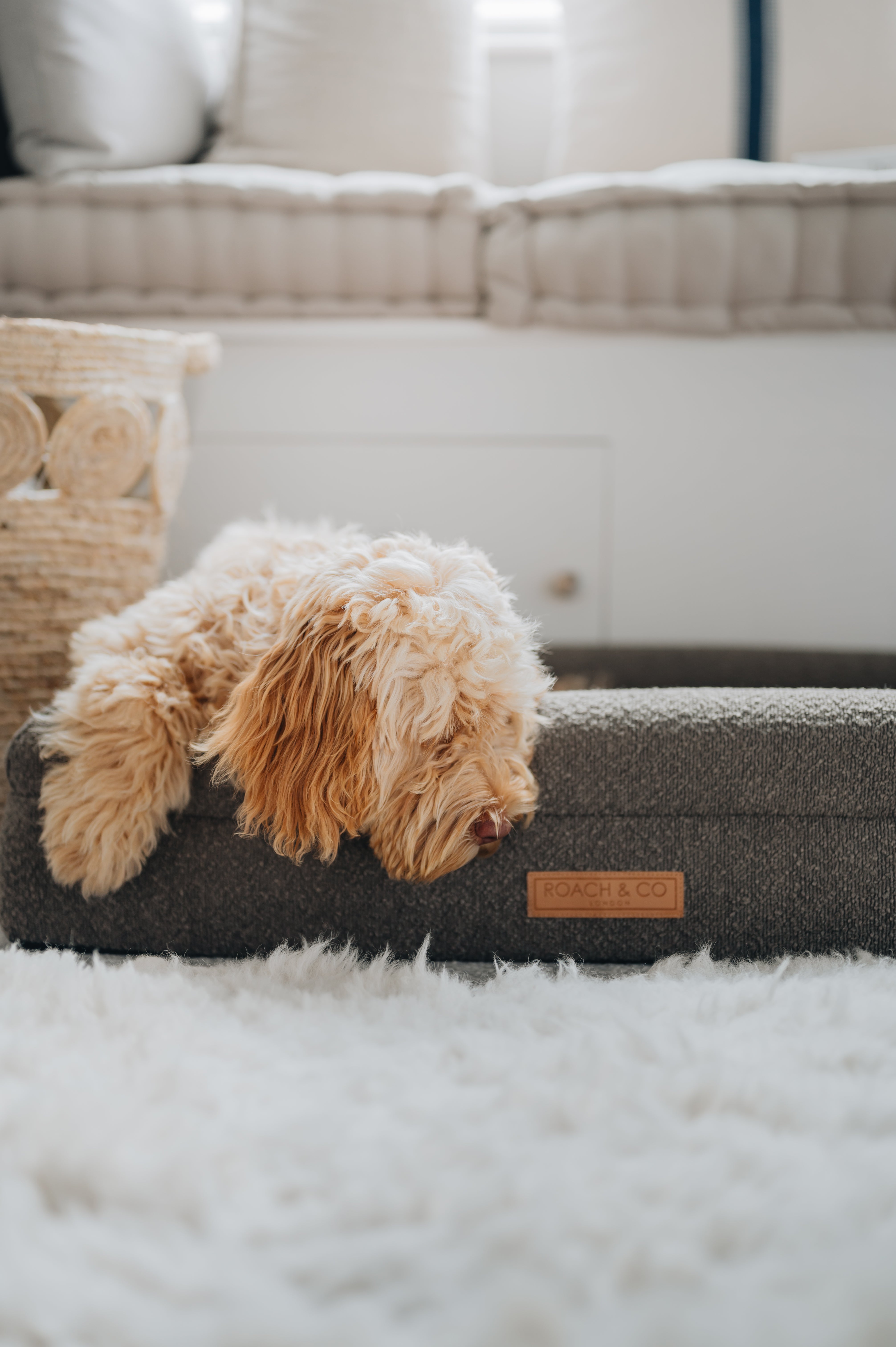 Luxury Orthopaedic Taupe Brown Bouclé Dog Bed