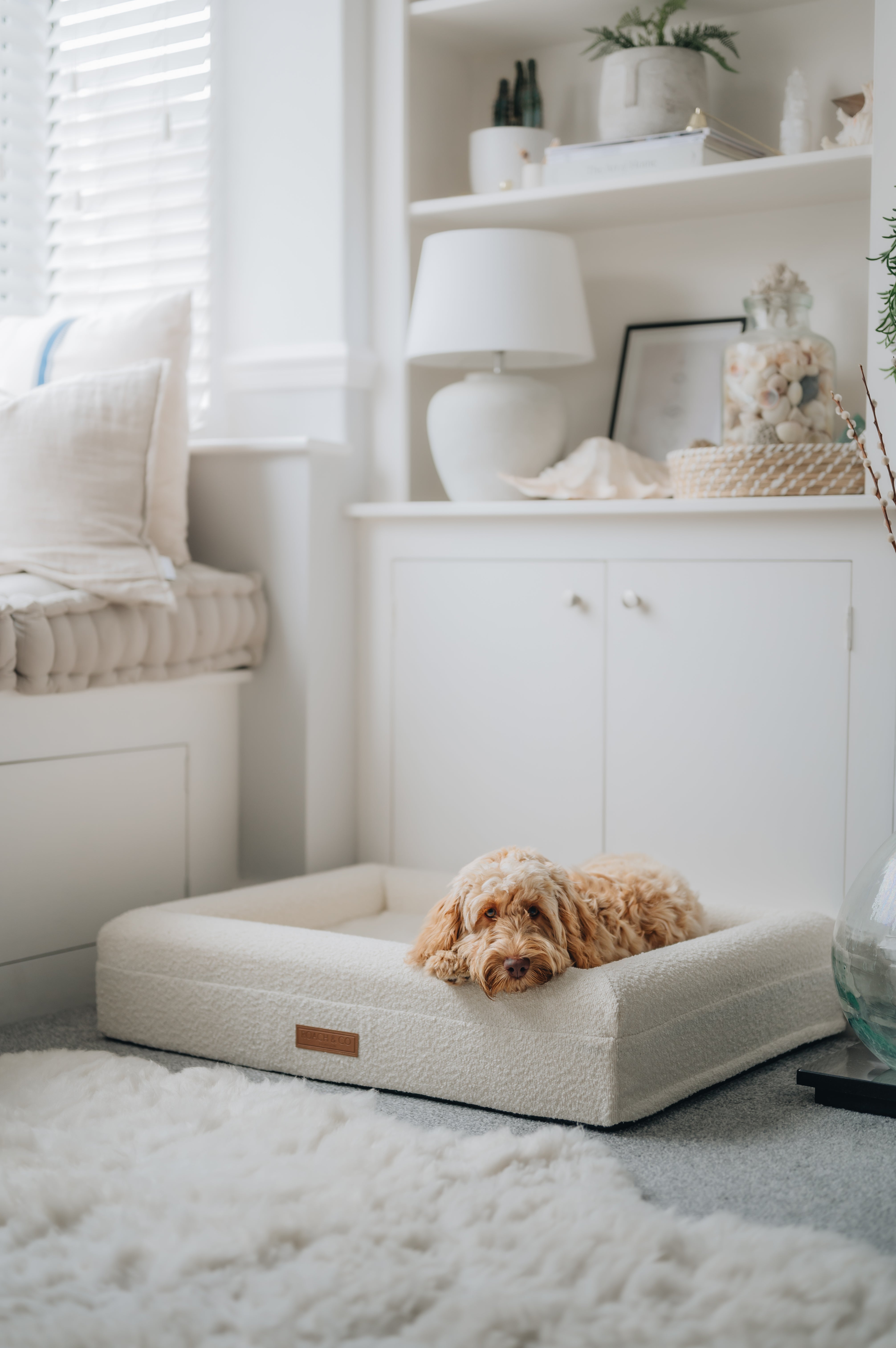 Luxury Orthopaedic Cream Bouclé Dog Bed