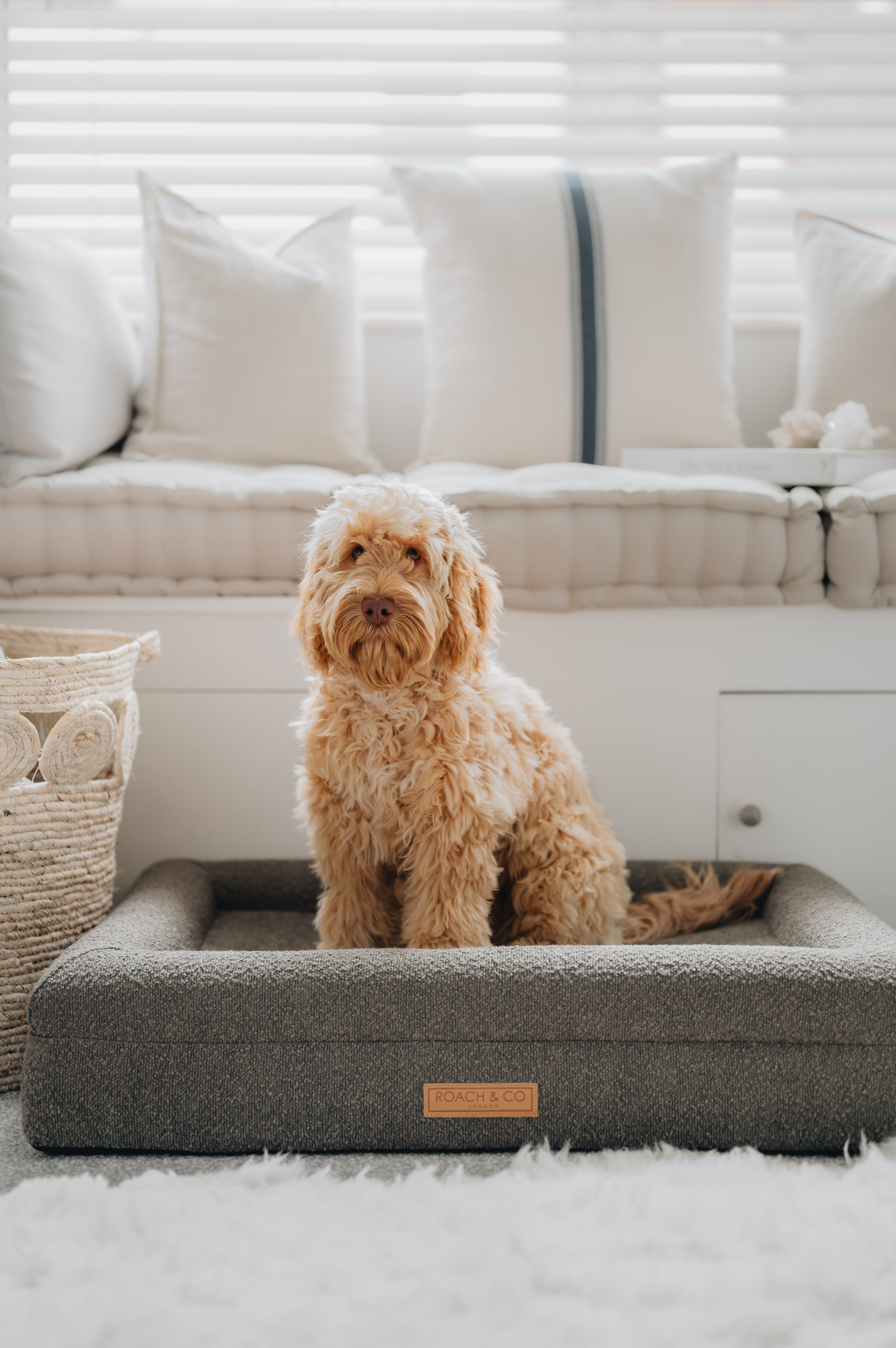 Luxury Orthopaedic Taupe Brown Bouclé Dog Bed