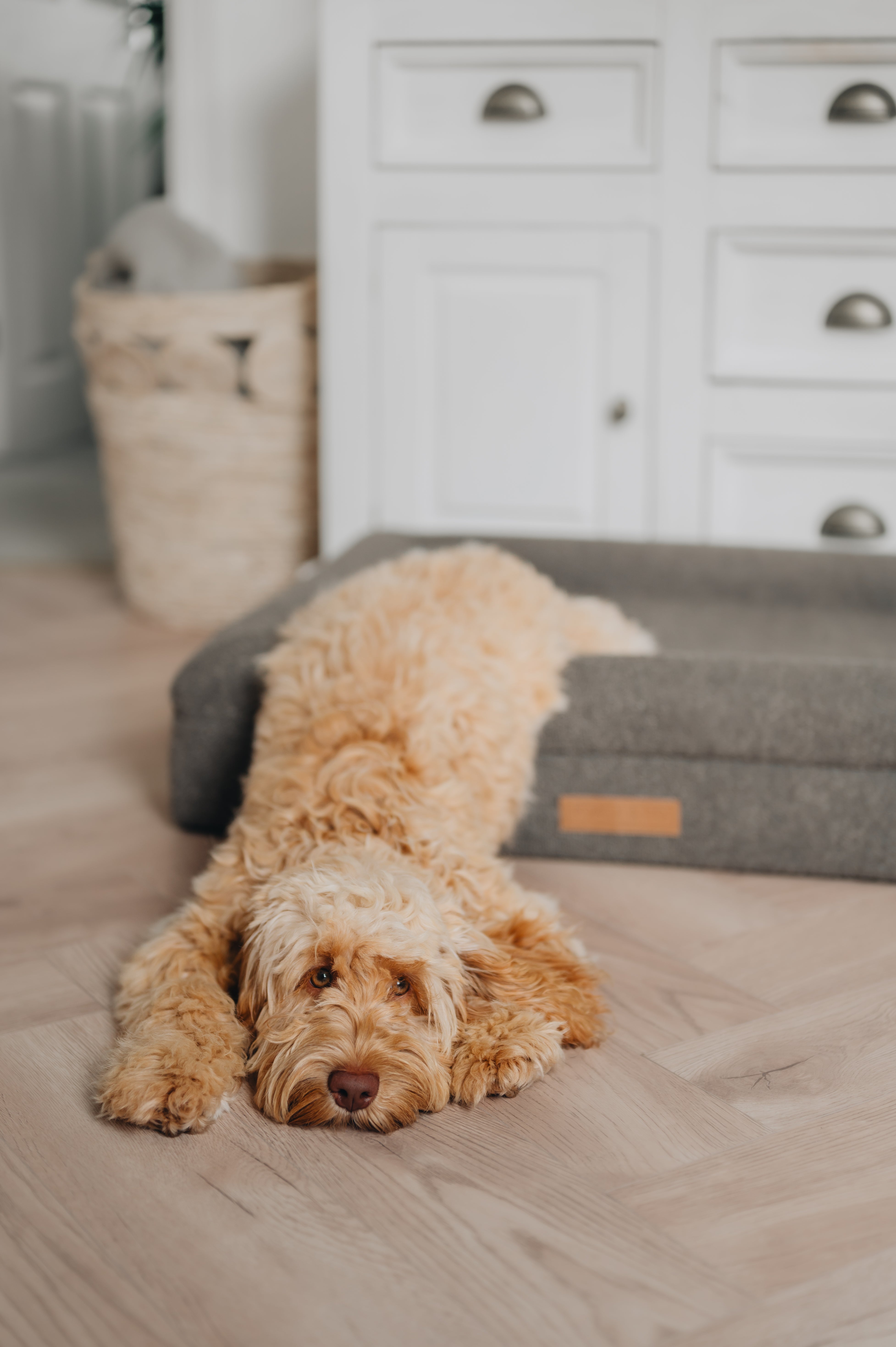 Luxury Orthopaedic Taupe Brown Bouclé Dog Bed