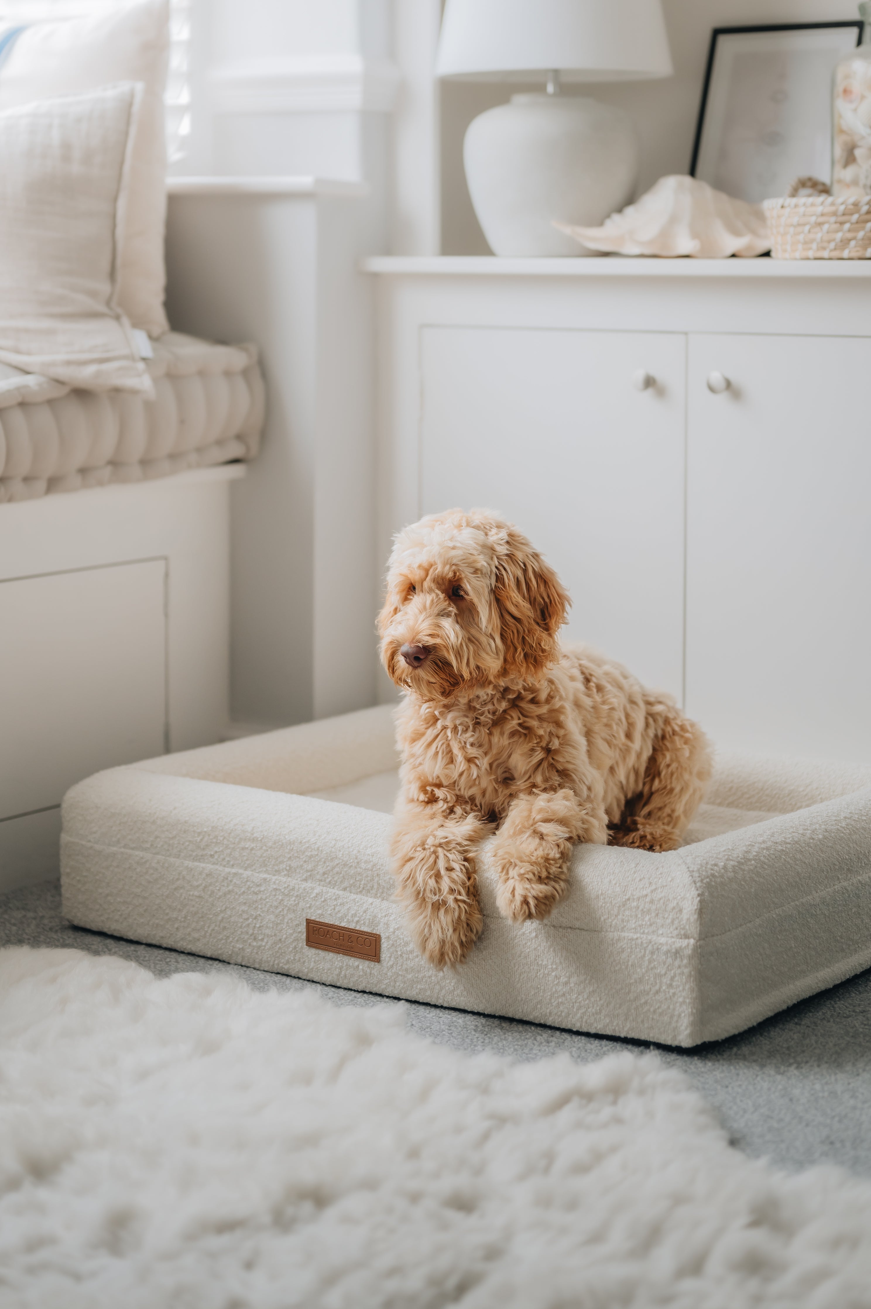 Luxury Orthopaedic Cream Bouclé Dog Bed