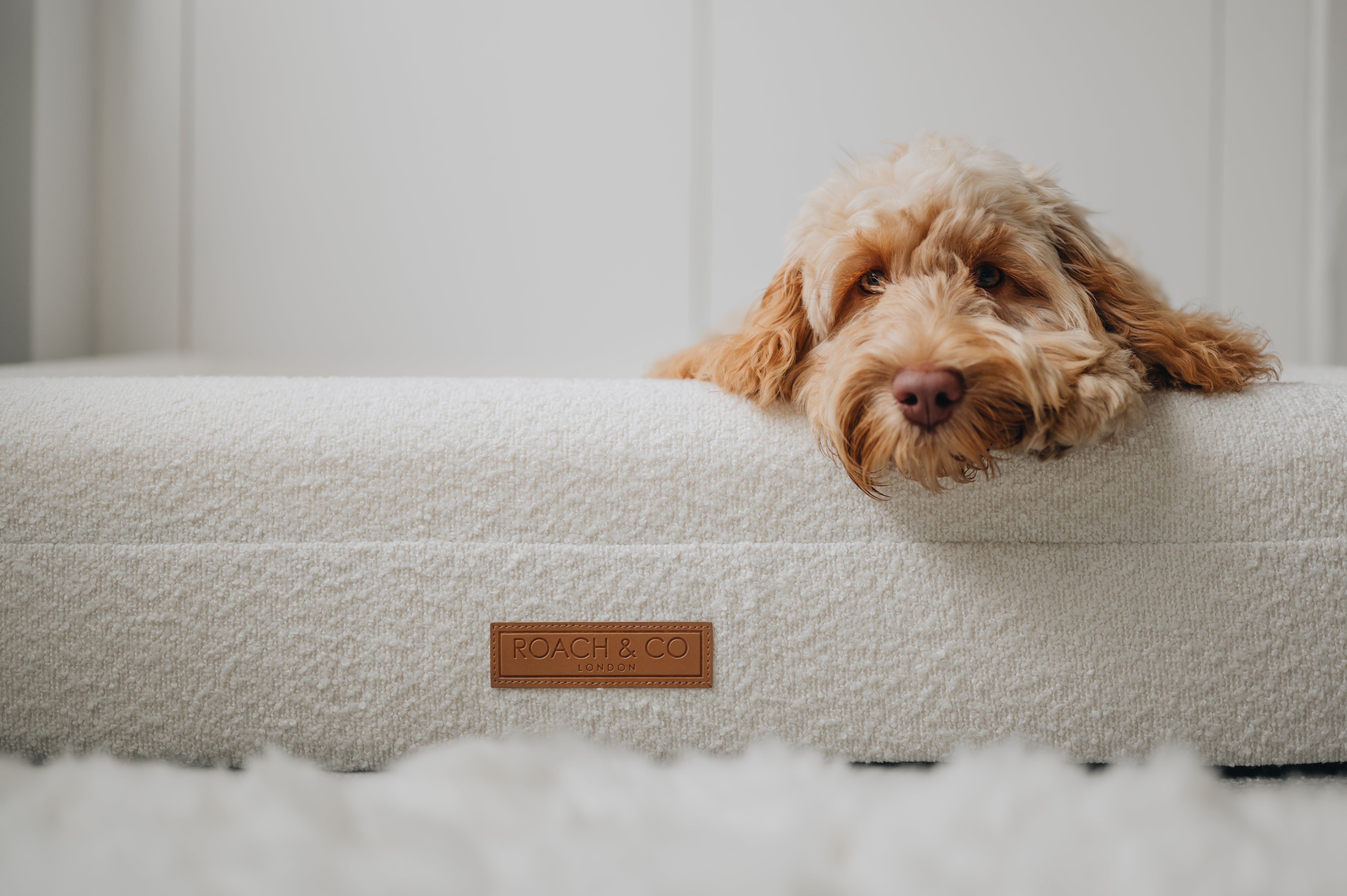 Luxury Orthopaedic Cream Bouclé Dog Bed