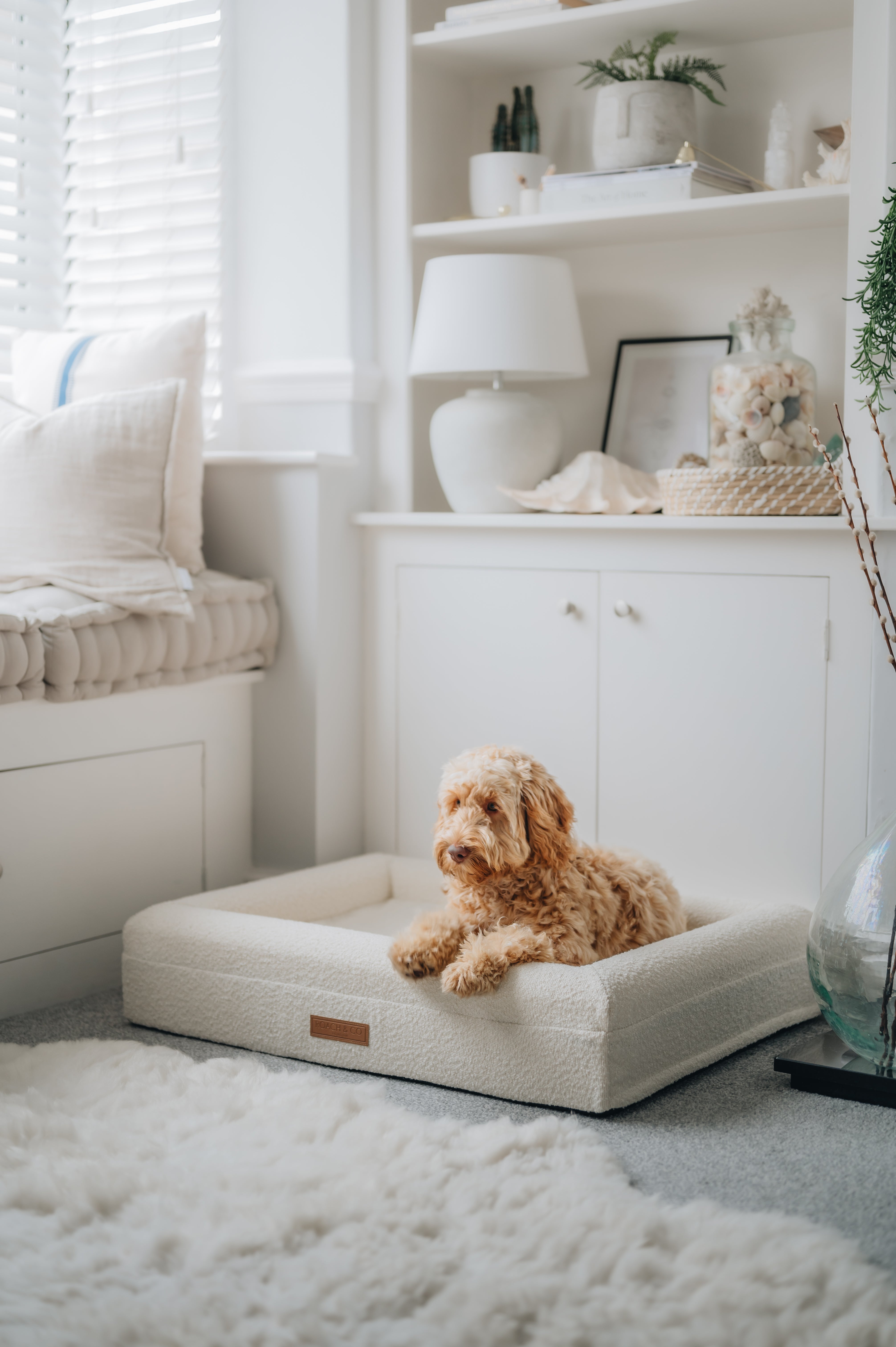 Luxury Orthopaedic Cream Bouclé Dog Bed